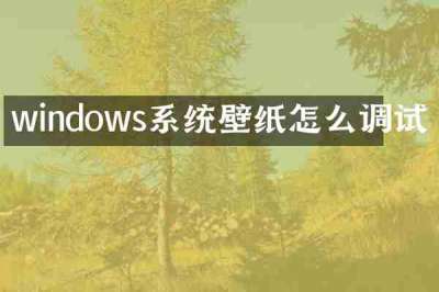 windows系统壁纸怎么调试