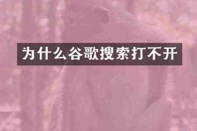 为什么谷歌搜索打不开