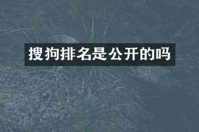 搜狗排名是公开的吗