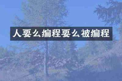 人要么编程要么被编程
