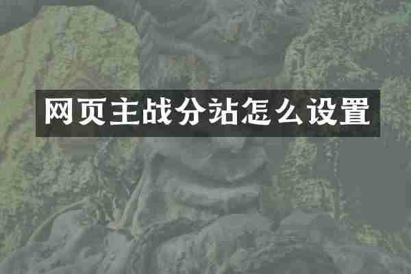 网页主战分站怎么设置