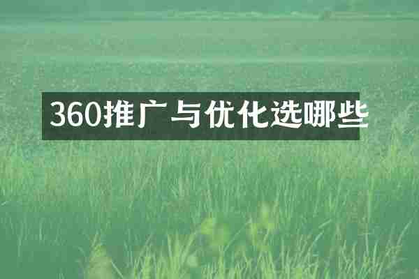 360推广与优化选哪些
