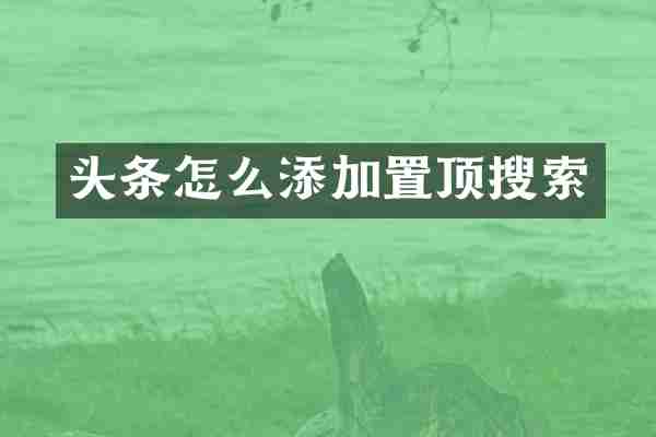 头条怎么添加置顶搜索
