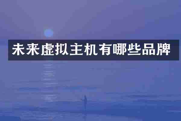 未来虚拟主机有哪些品牌