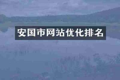 安国市网站优化排名