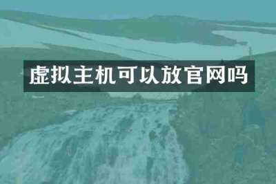 虚拟主机可以放官网吗