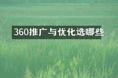 360推广与优化选哪些