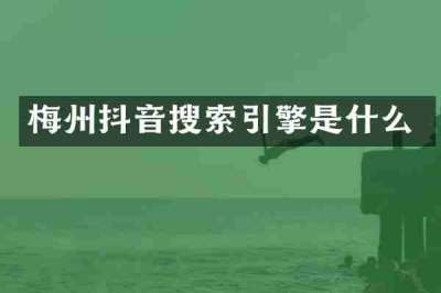 梅州抖音搜索引擎是什么