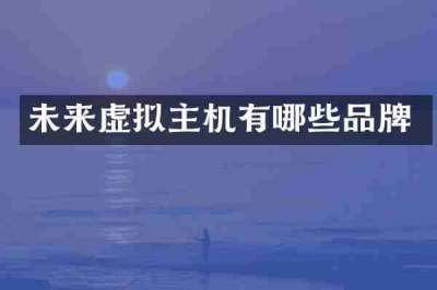 未来虚拟主机有哪些品牌