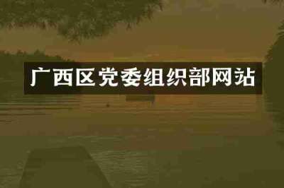 广西区党委组织部网站