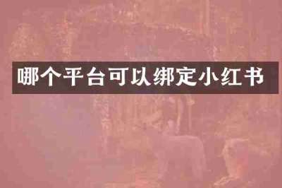 哪个平台可以绑定小红书