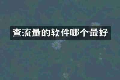查流量的软件哪个最好