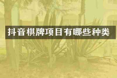 抖音棋牌项目有哪些种类