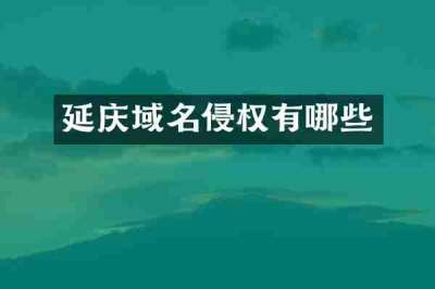 延庆域名侵权有哪些