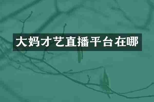 大妈才艺直播平台在哪