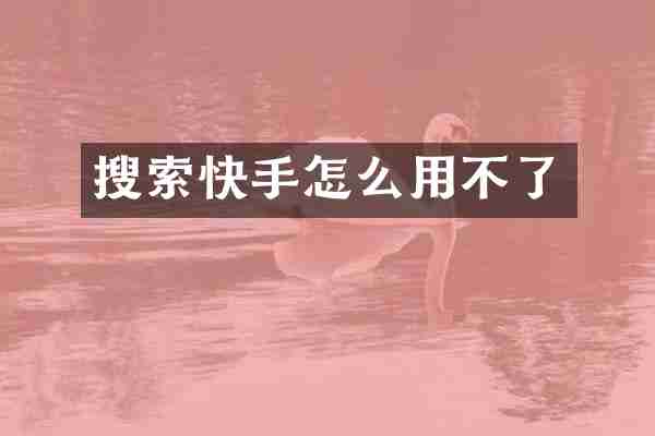 搜索快手怎么用不了