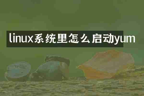 linux系统里怎么启动yum
