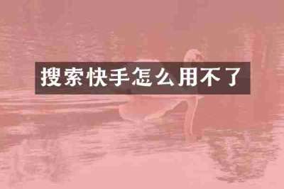 搜索快手怎么用不了