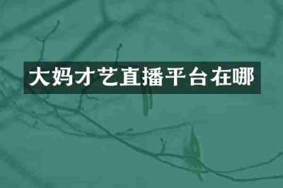 大妈才艺直播平台在哪