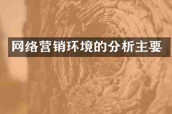 网络营销环境的分析主要