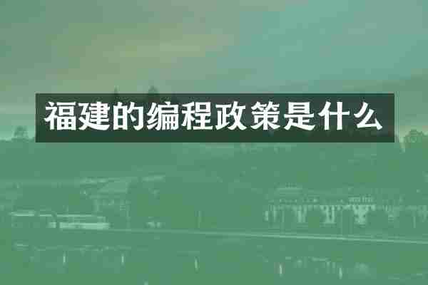福建的编程政策是什么