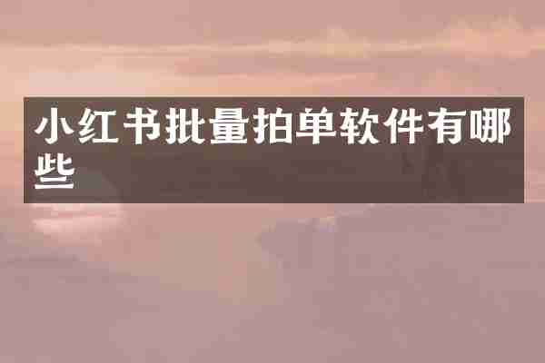 小红书批量拍单软件有哪些