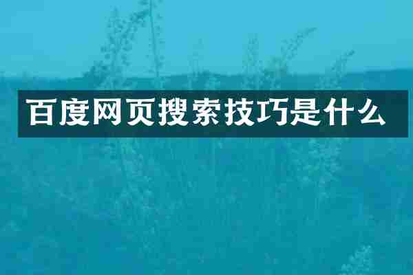 百度网页搜索技巧是什么