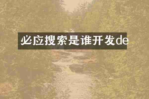 必应搜索是谁开发de