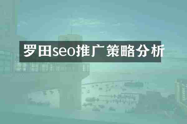 罗田seo推广策略分析