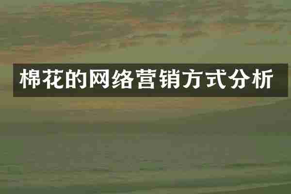 棉花的网络营销方式分析