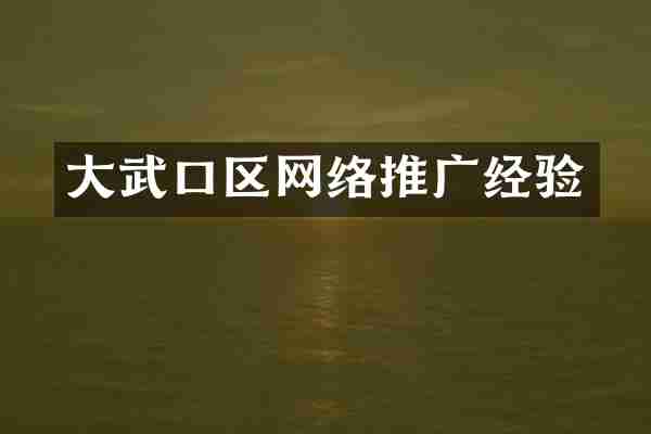 大武口区网络推广经验