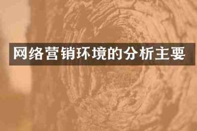 网络营销环境的分析主要