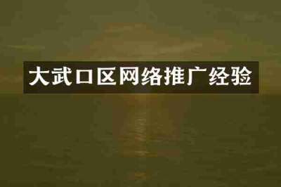 大武口区网络推广经验