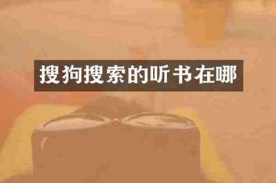 搜狗搜索的听书在哪