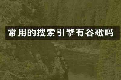 常用的搜索引擎有谷歌吗