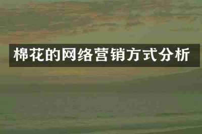 棉花的网络营销方式分析