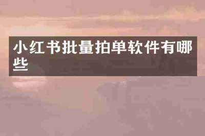 小红书批量拍单软件有哪些