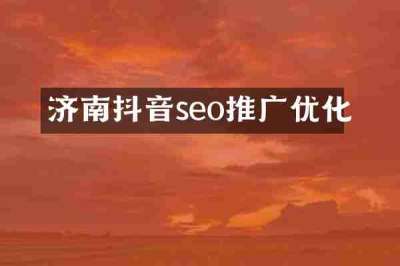 济南抖音seo推广优化