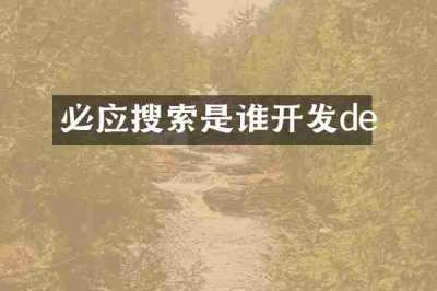 必应搜索是谁开发de