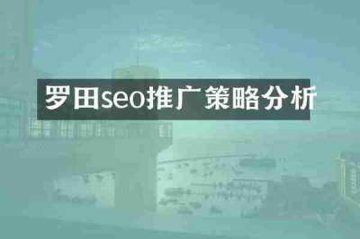 罗田seo推广策略分析