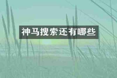 神马搜索还有哪些