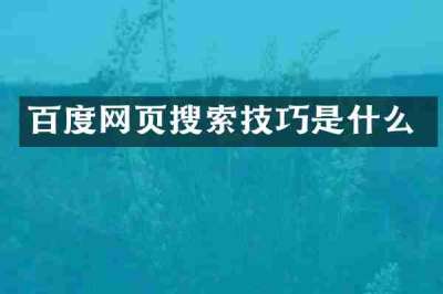 百度网页搜索技巧是什么