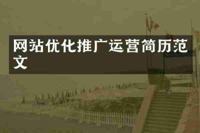 网站优化推广运营简历范文