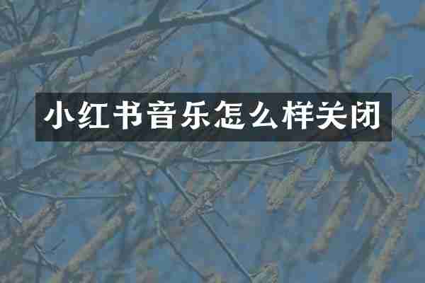 小红书音乐怎么样关闭
