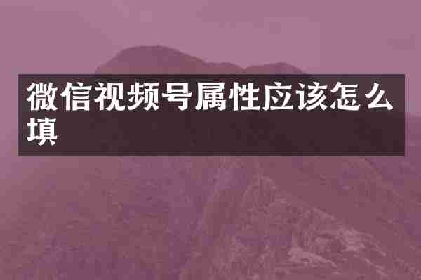 微信视频号属性应该怎么填