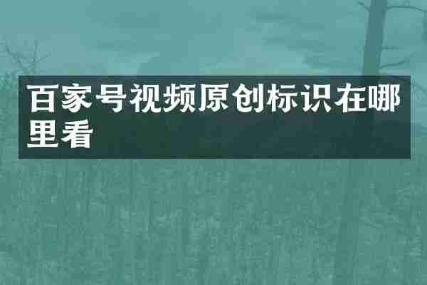 百家号视频原创标识在哪里看