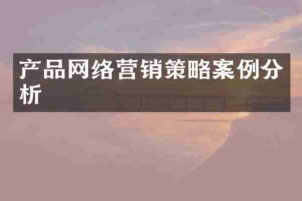 产品网络营销策略案例分析