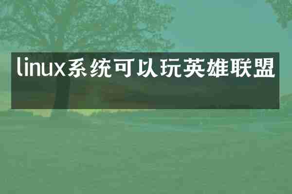 linux系统可以玩英雄联盟吗