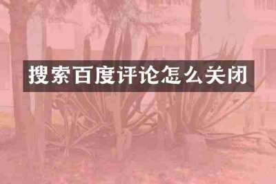 搜索百度评论怎么关闭