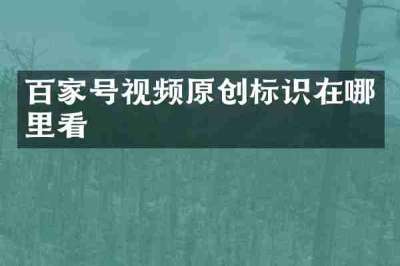 百家号视频原创标识在哪里看